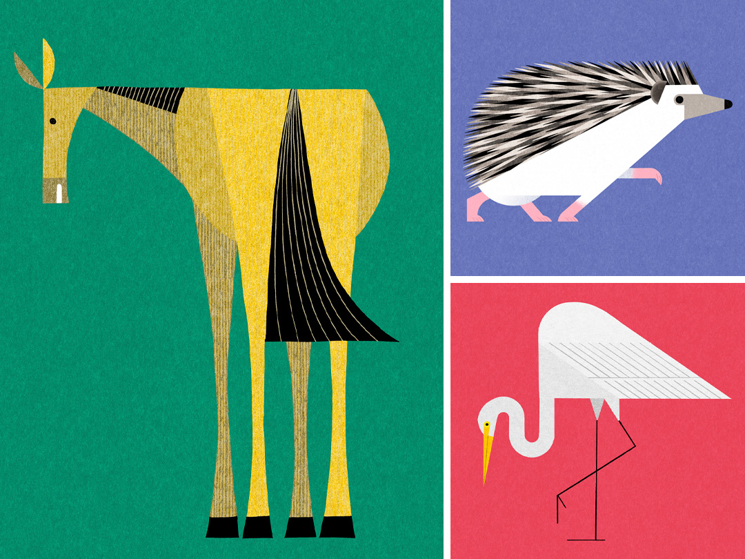 Animals