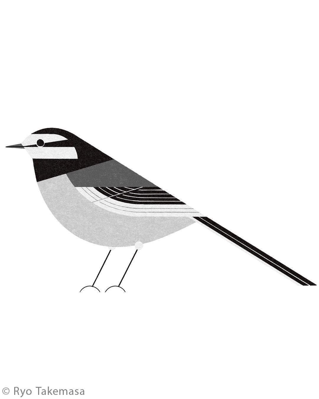 Animals illustration 3