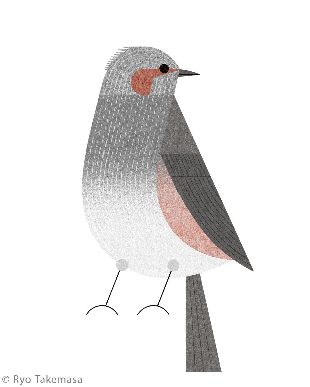 Animals illustration 5