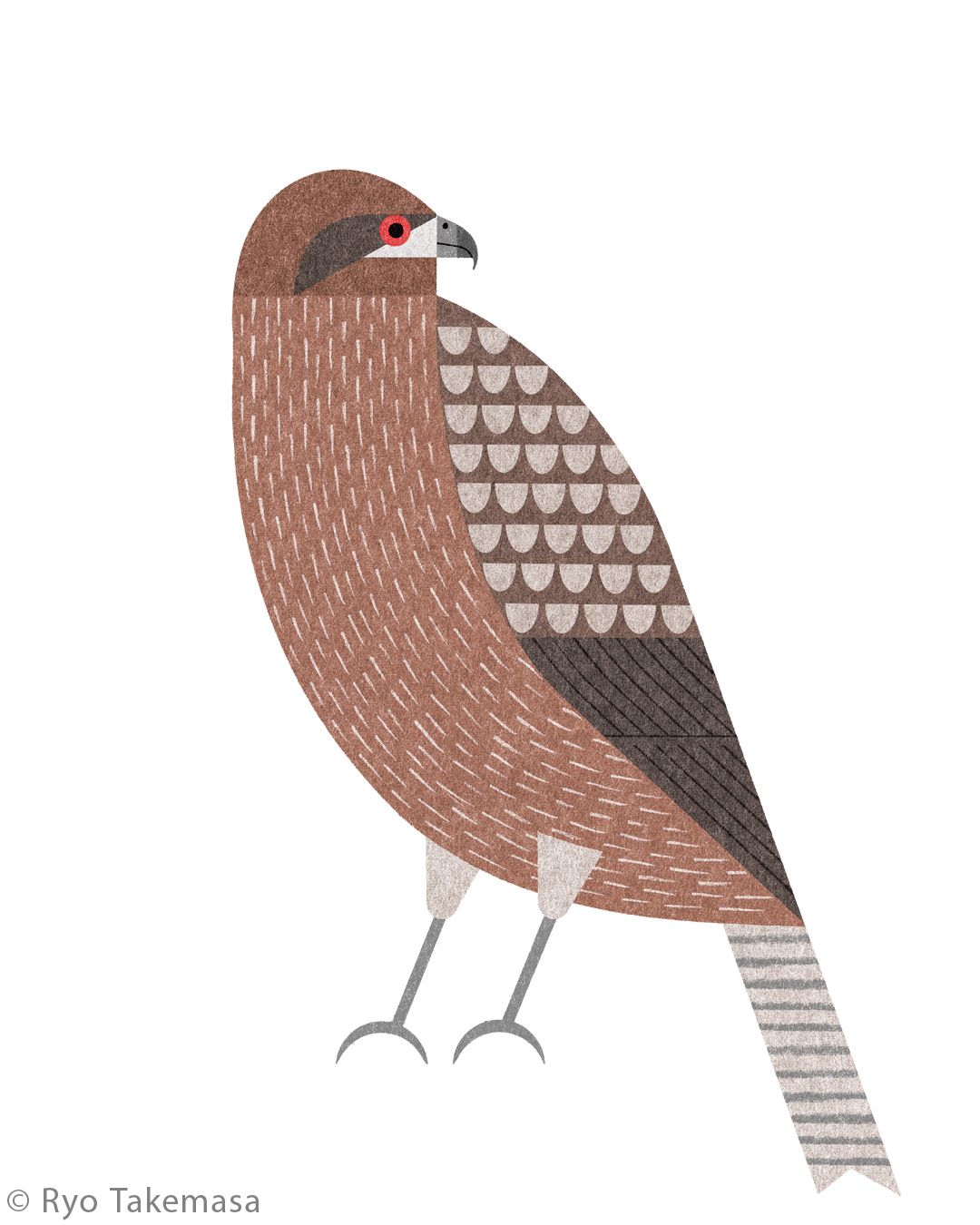 Animals illustration 6