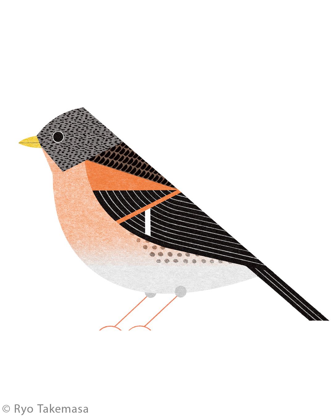 Animals illustration 9