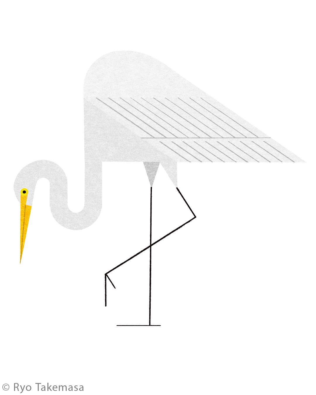 Animals illustration 11
