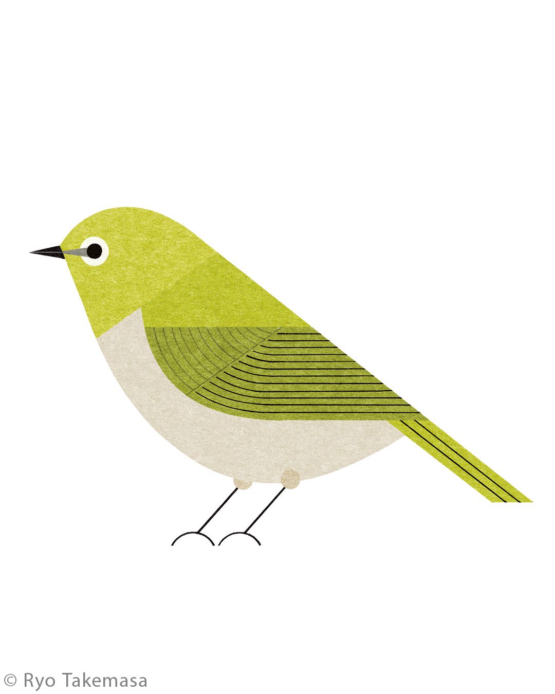 Animals illustration 14