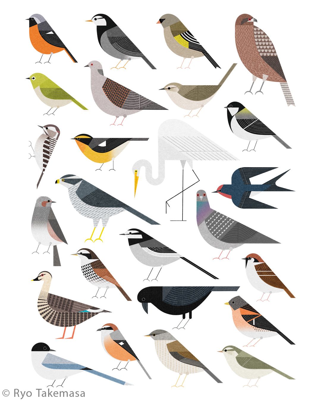 Animals illustration 15