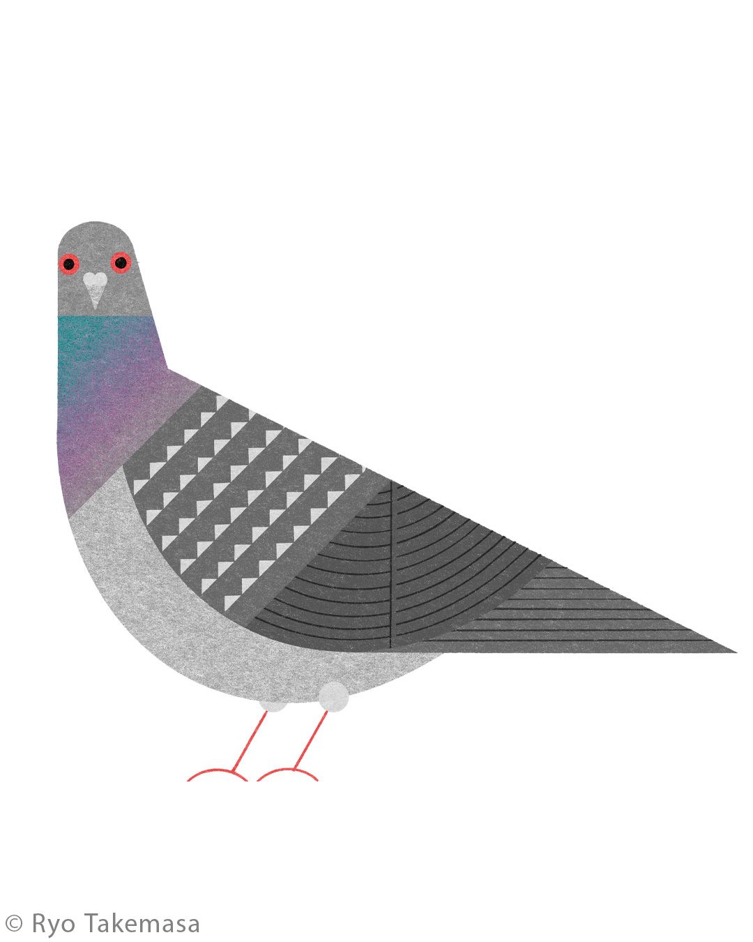 Animals illustration 16