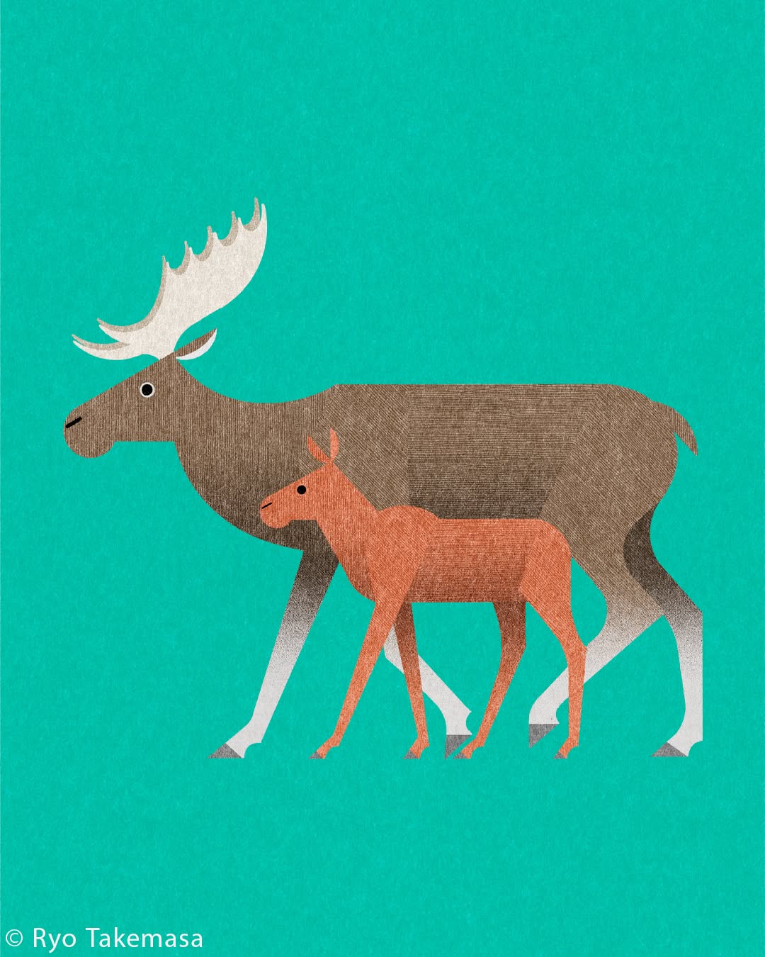Animals illustration 17