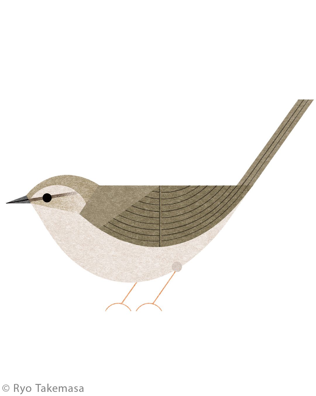 Animals illustration 18