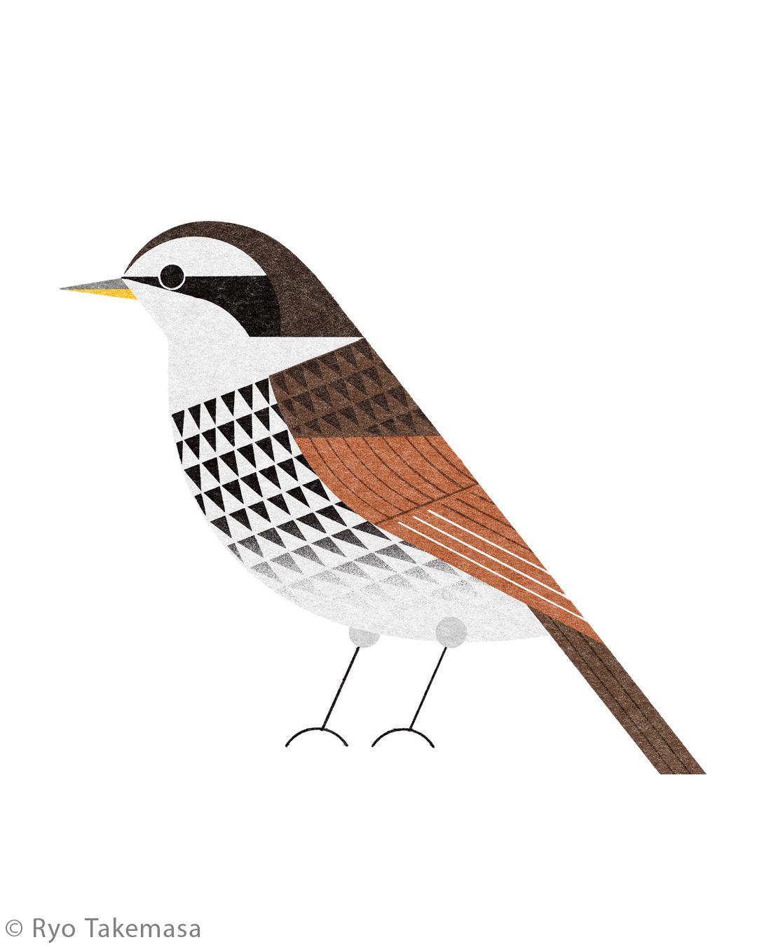 Animals illustration 19