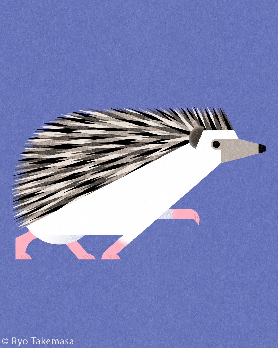 Animals illustration 23