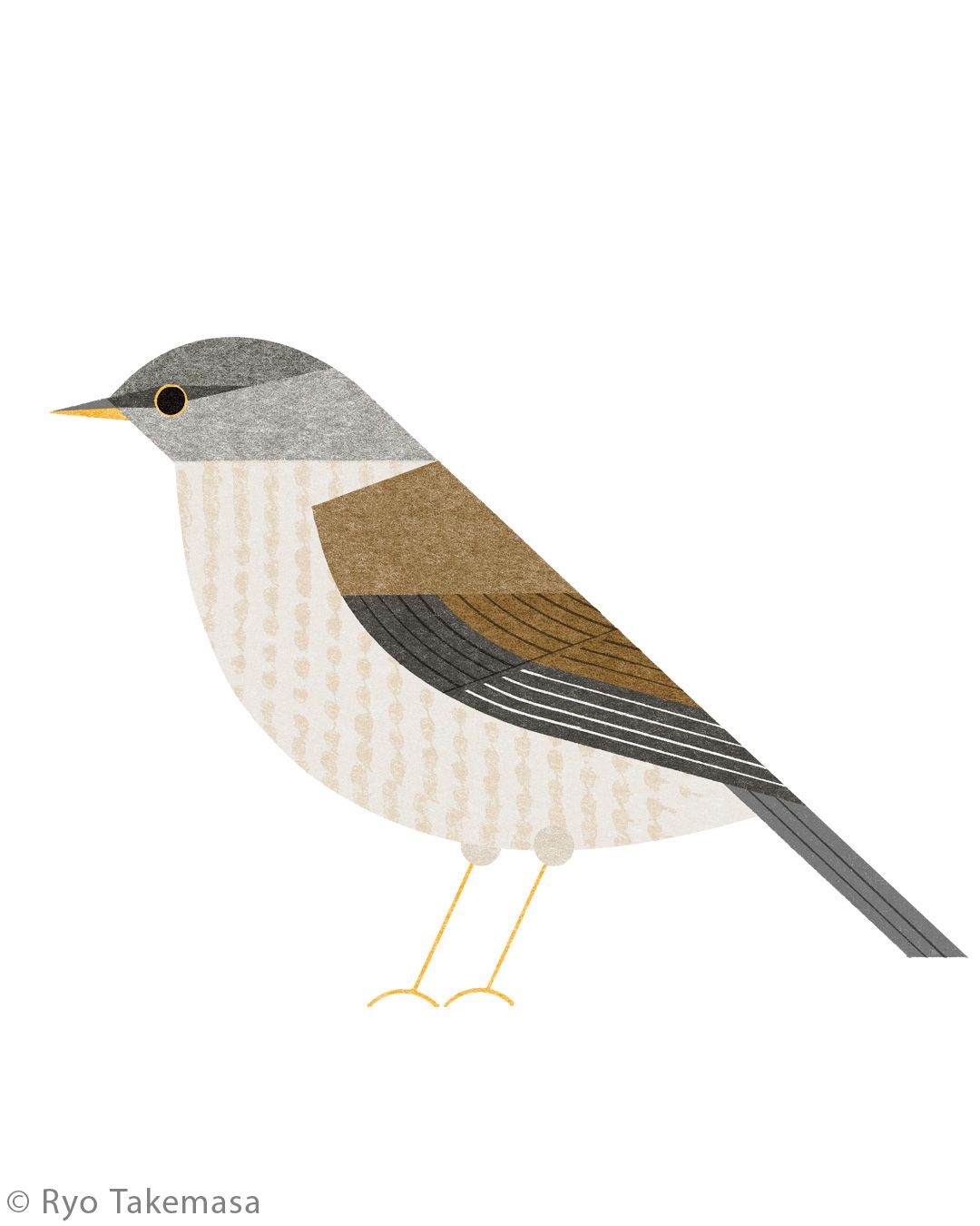 Animals illustration 24