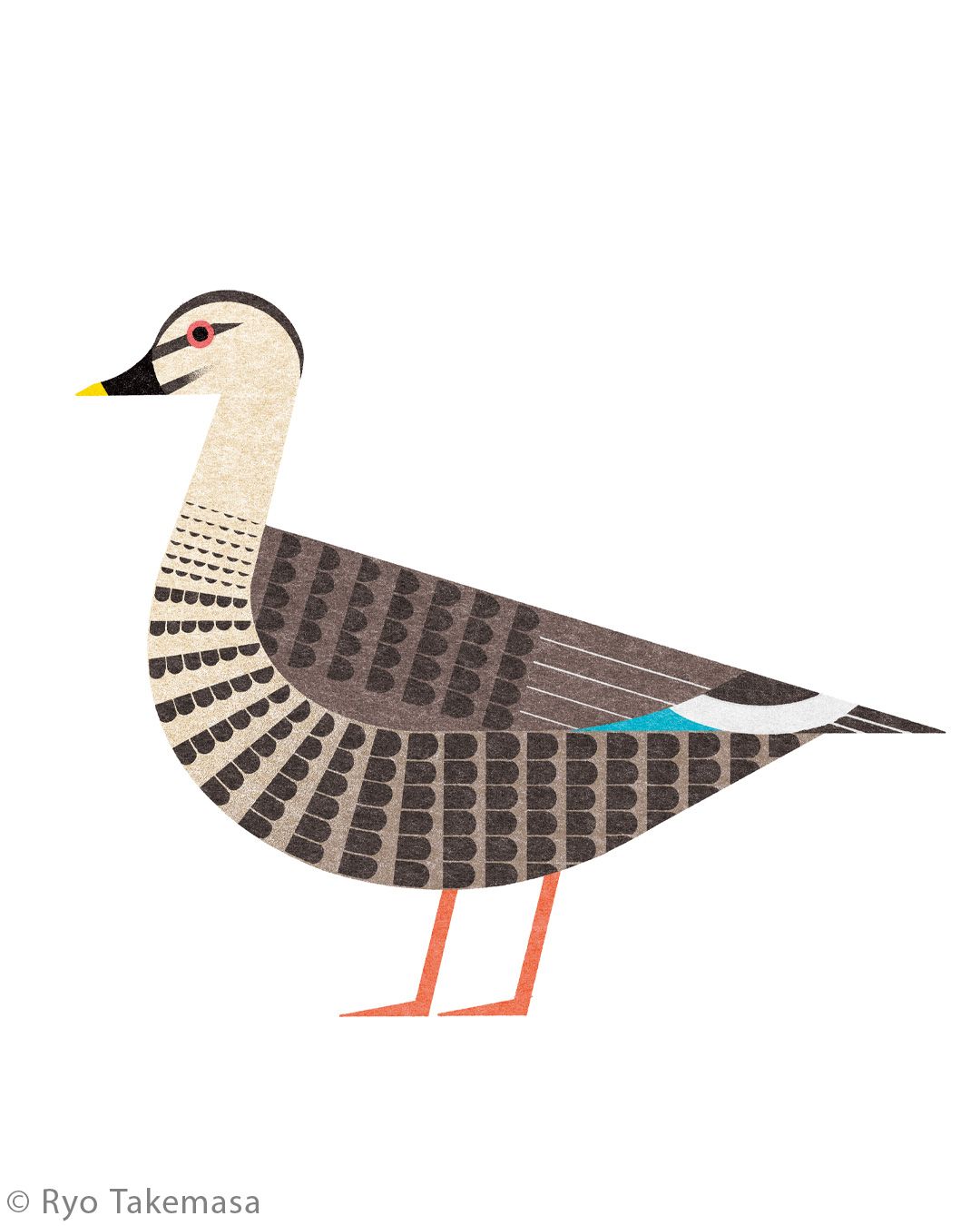 Animals illustration 27