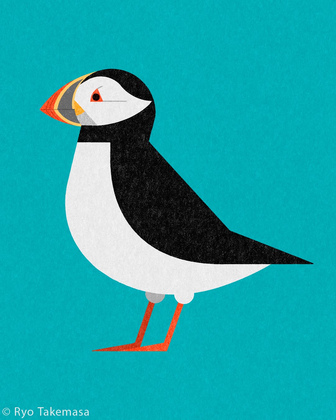 Animals illustration 29