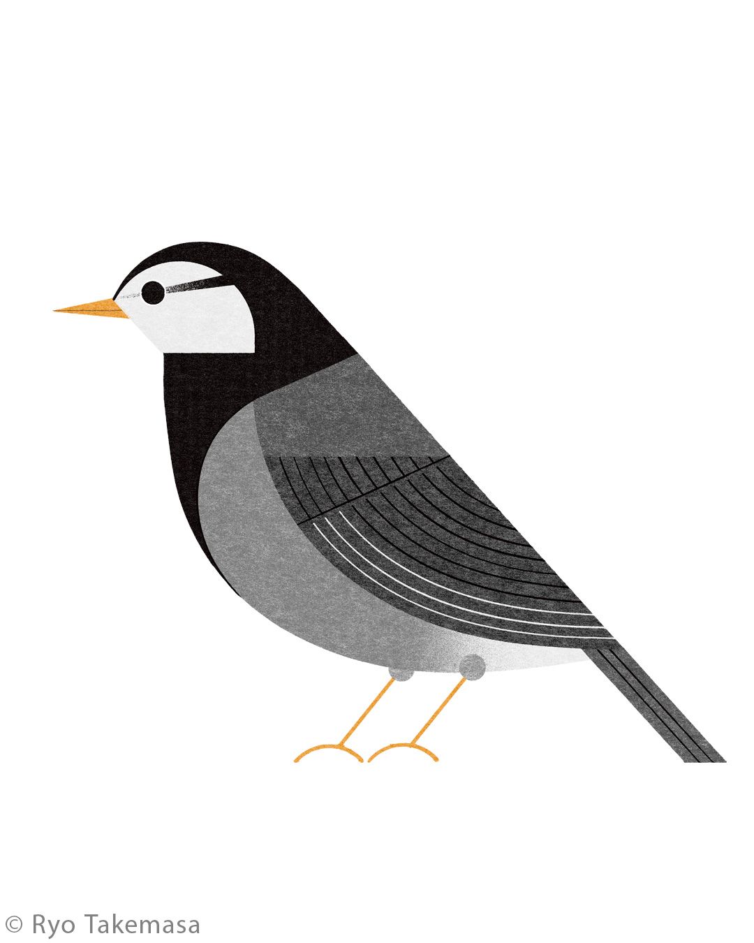 Animals illustration 31