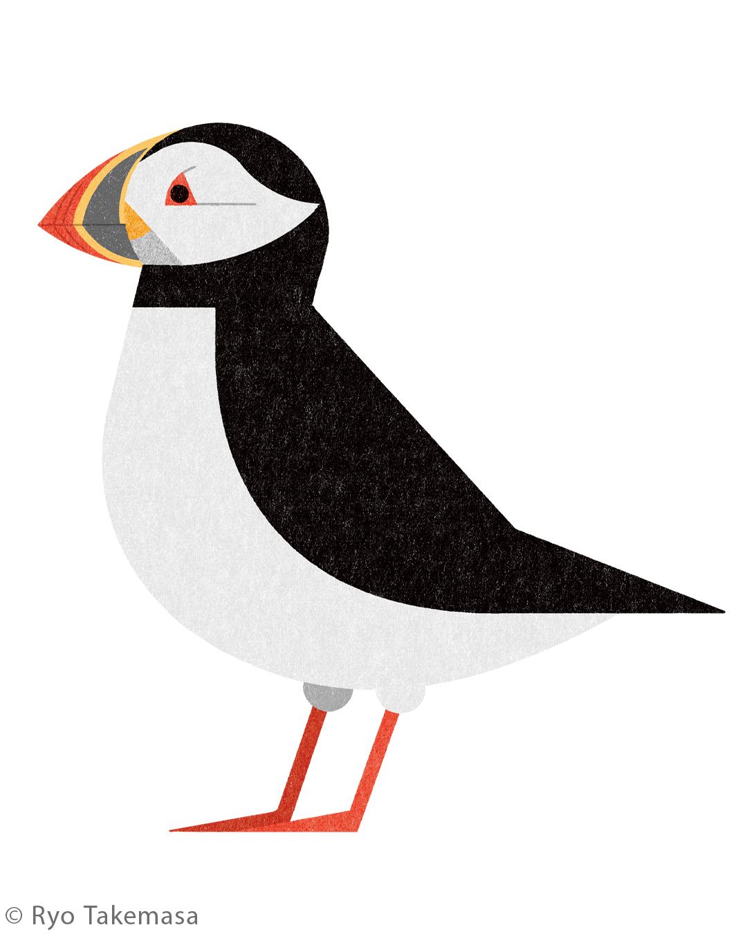 Animals illustration 33