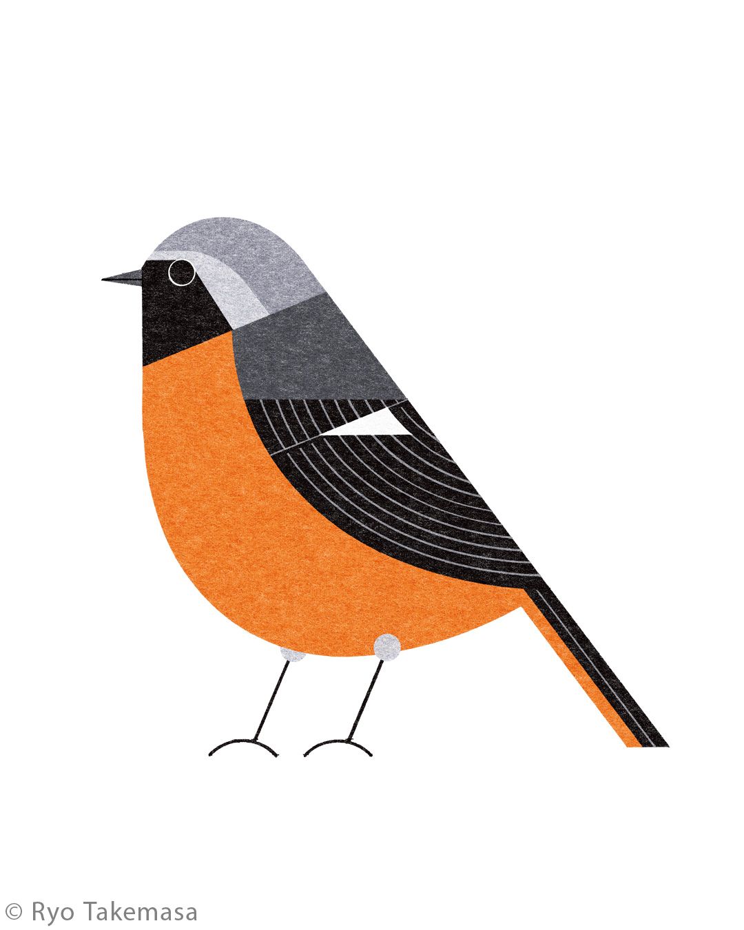 Animals illustration 34