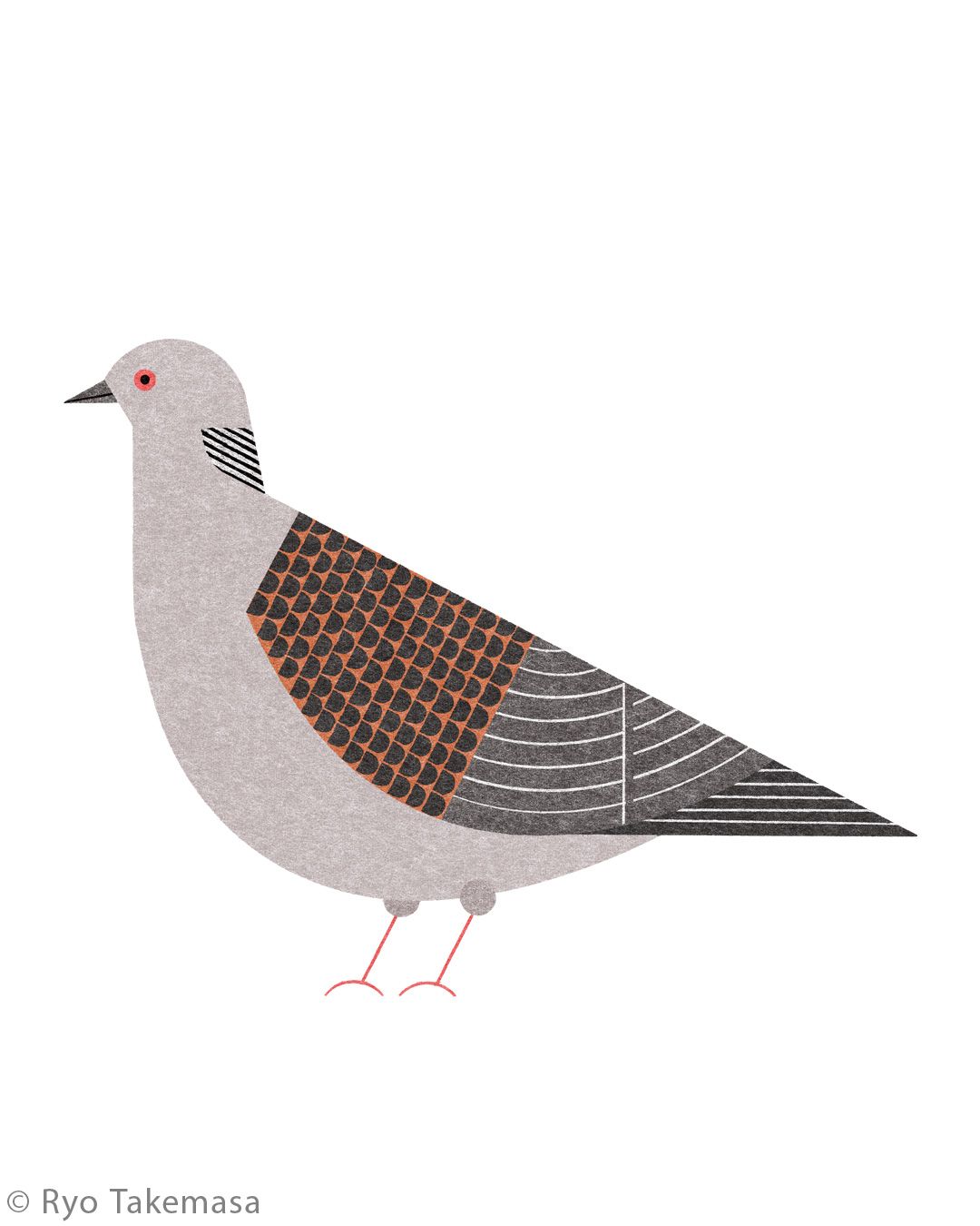 Animals illustration 36