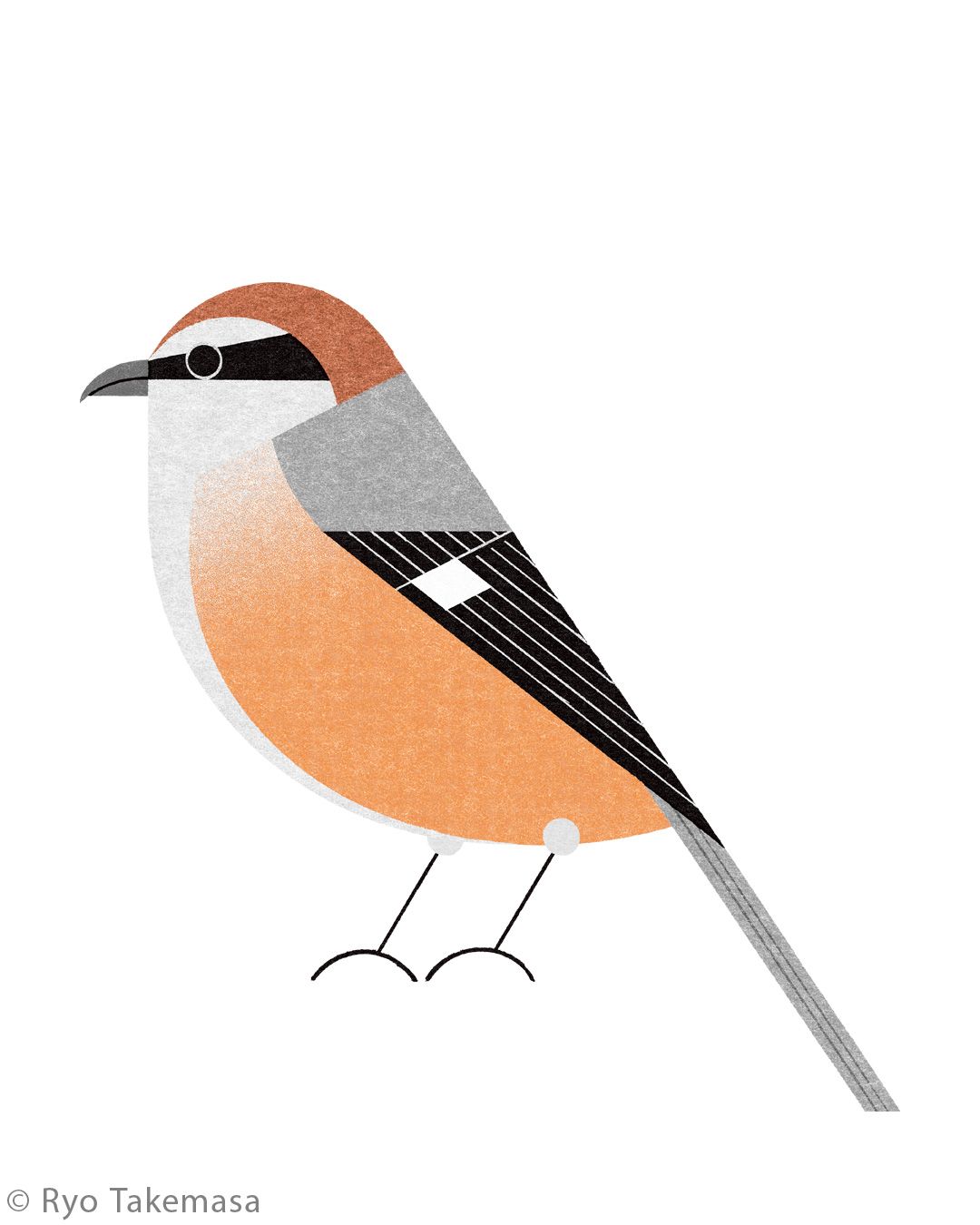 Animals illustration 37