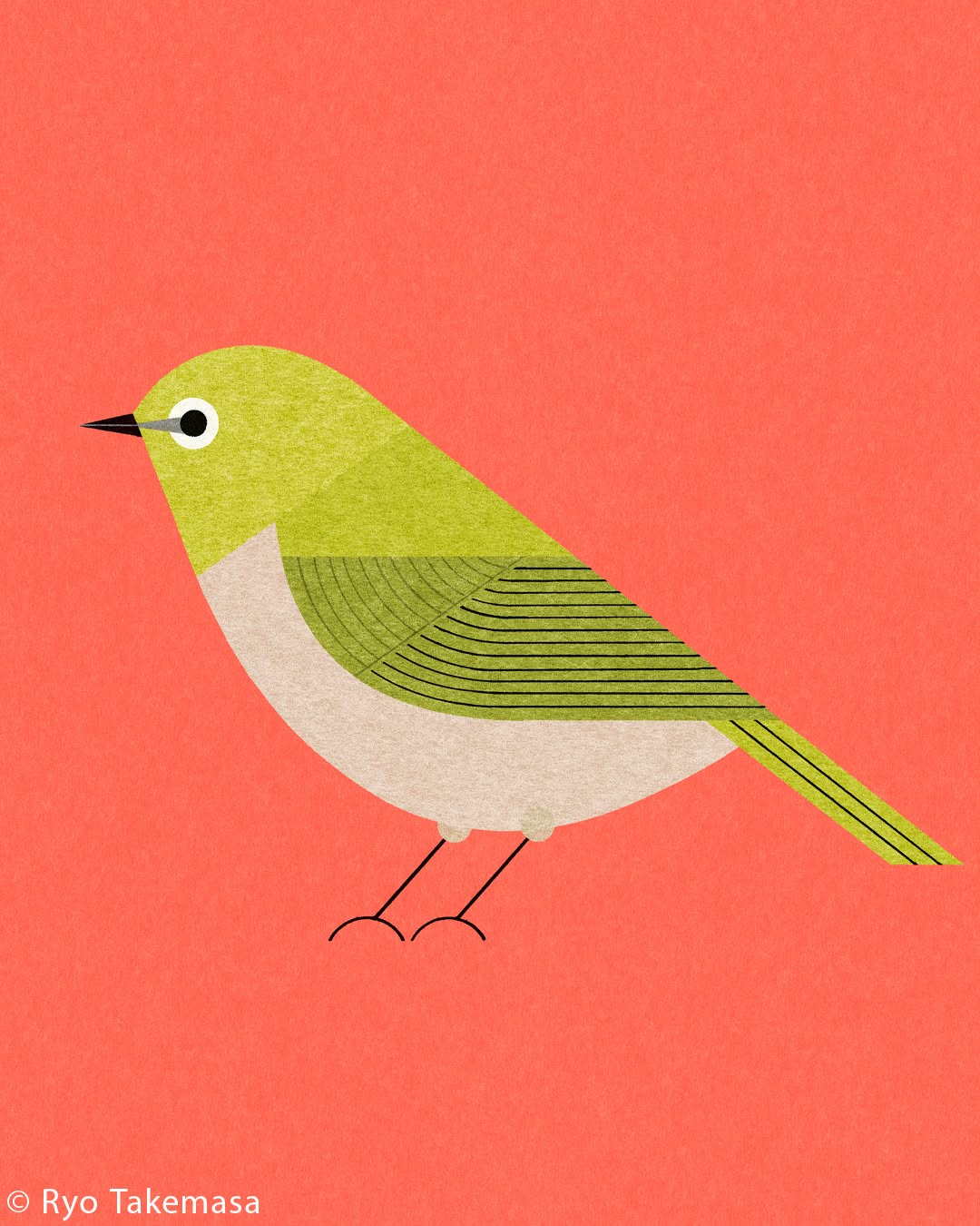 Animals illustration 40