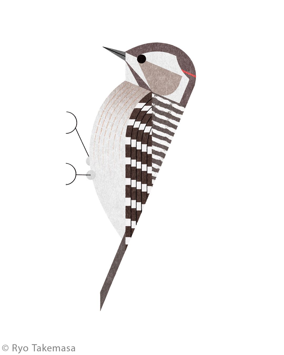 Animals illustration 41