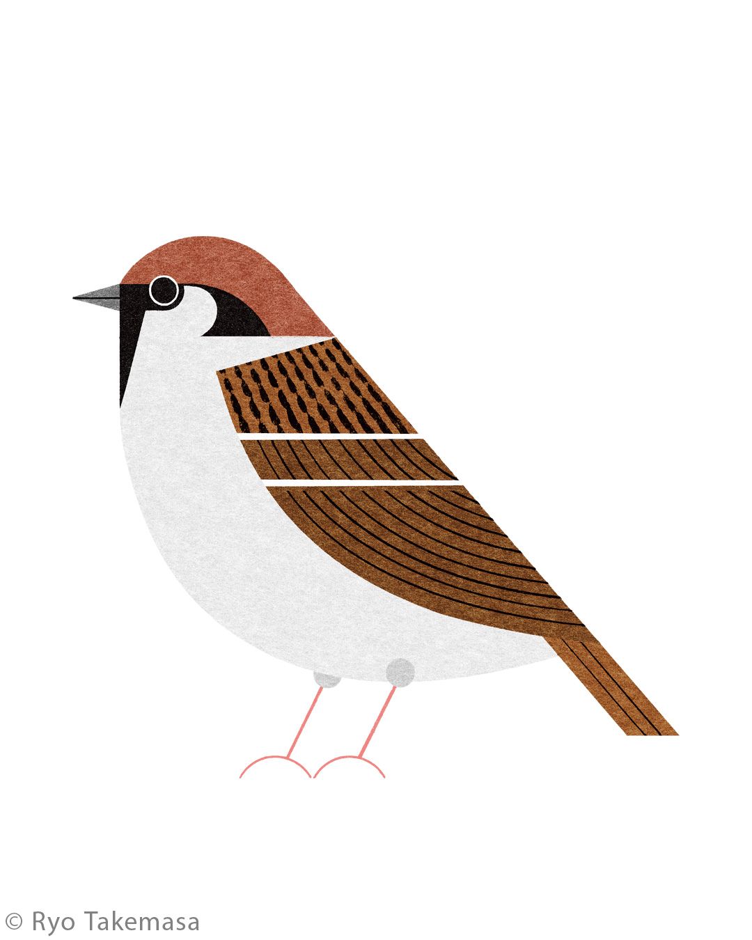 Animals illustration 43