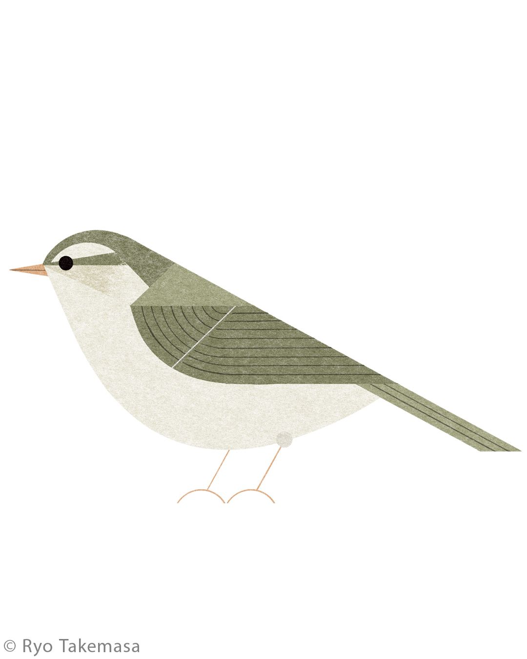 Animals illustration 44