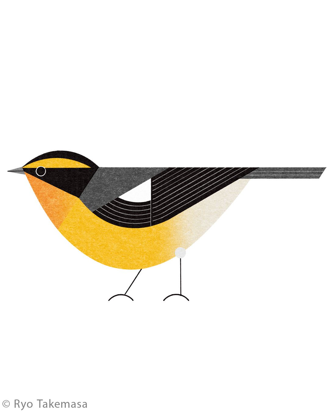 Animals illustration 50