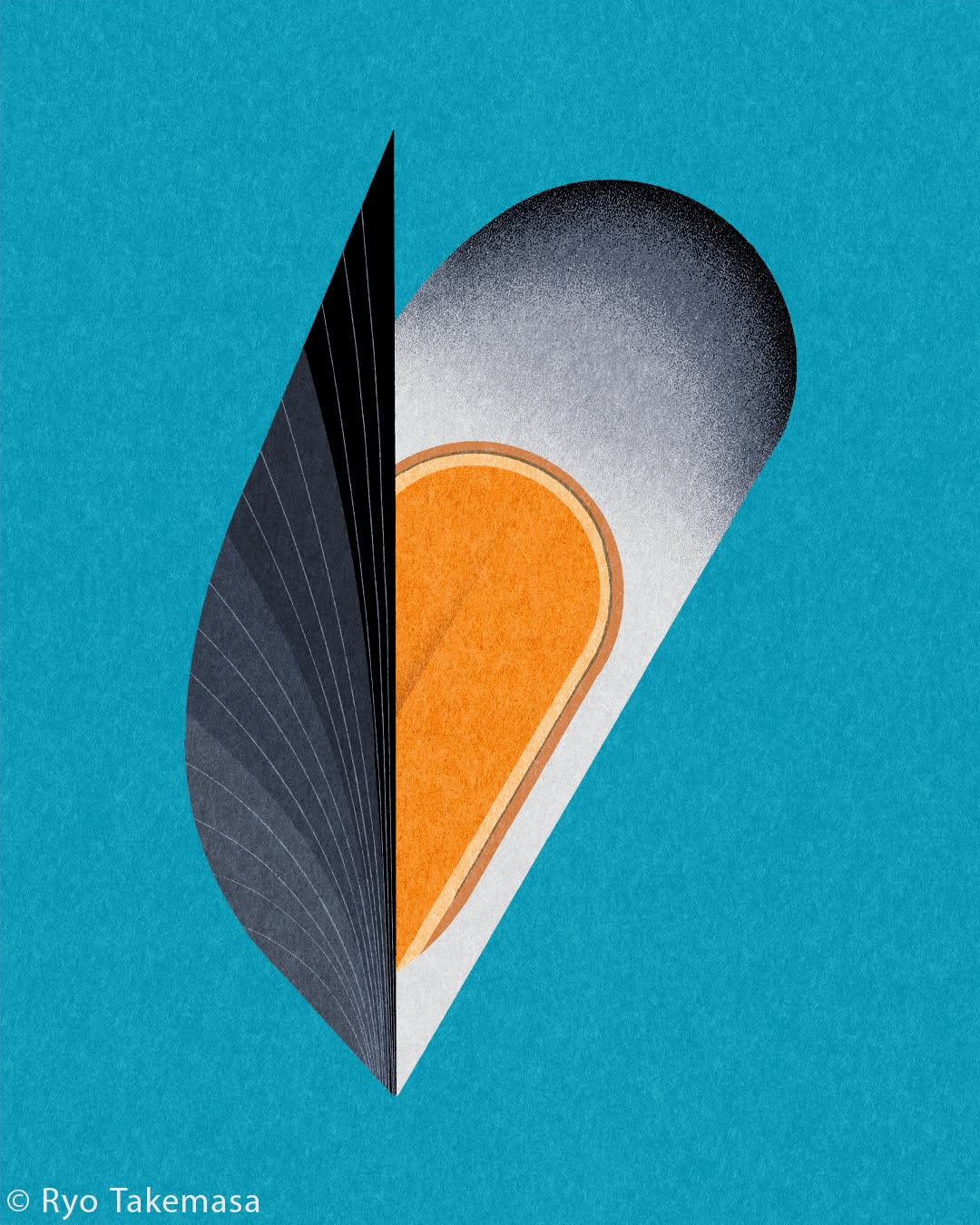 Fish & Shellfish illustration 1