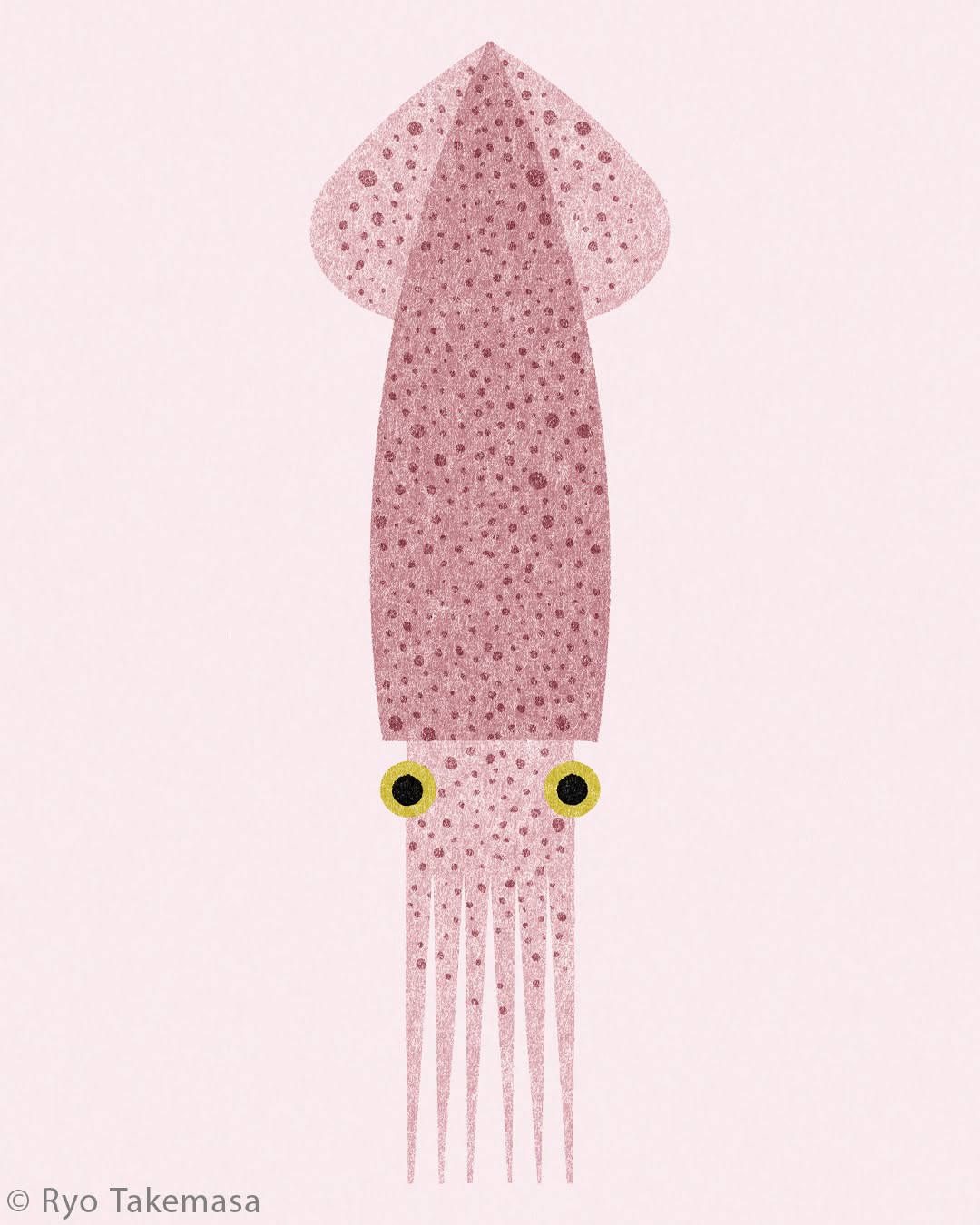 Fish & Shellfish illustration 3