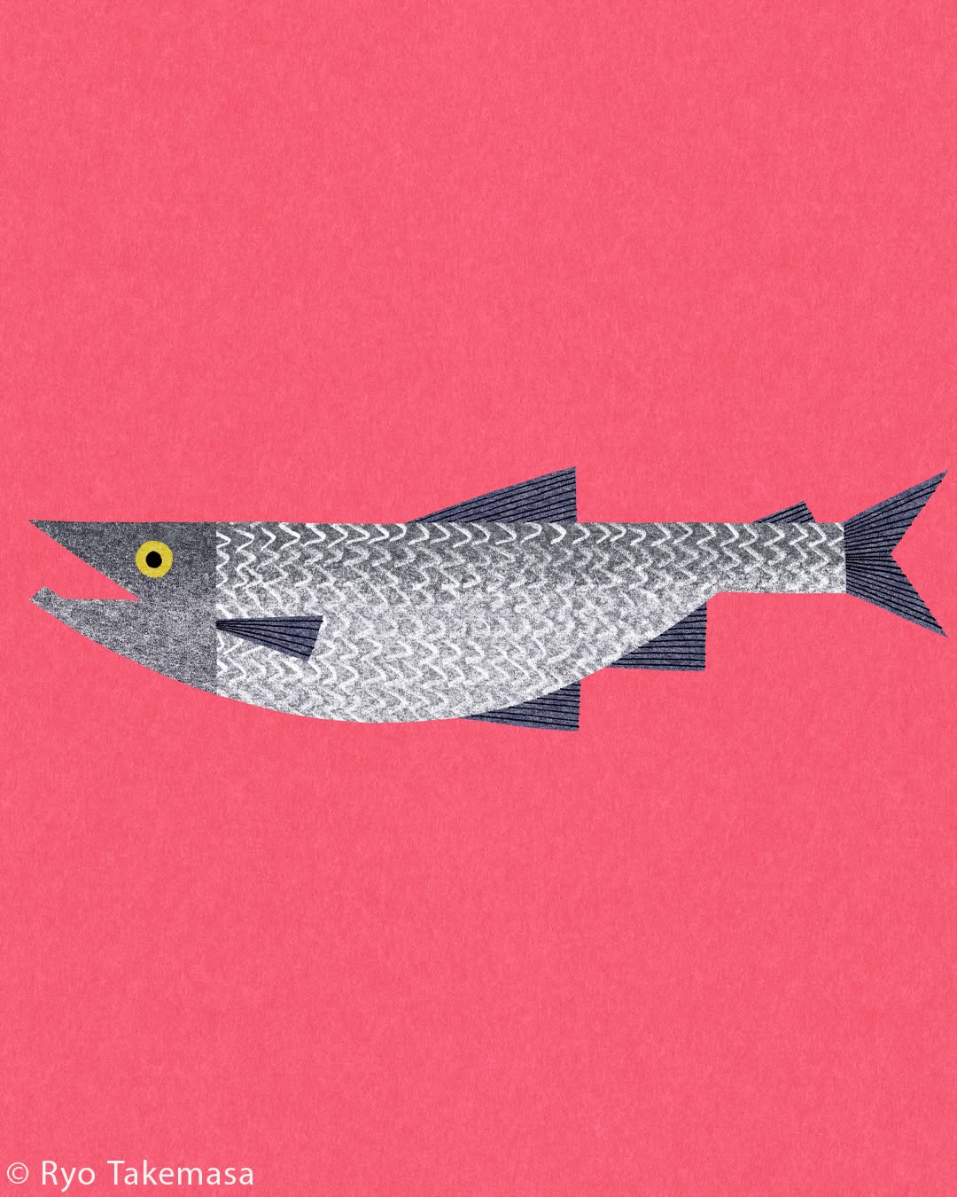 Fish & Shellfish illustration 5