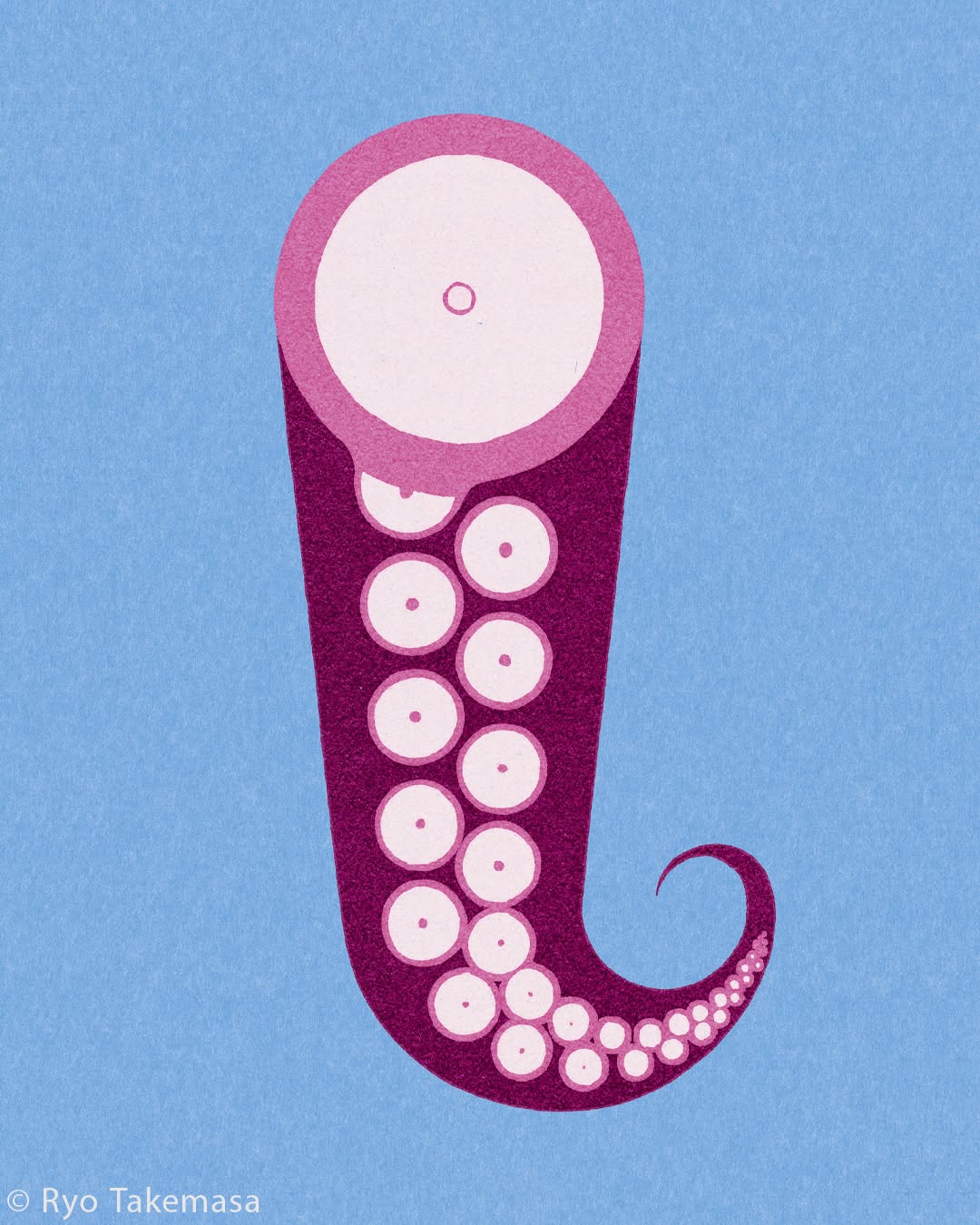 Fish & Shellfish illustration 6