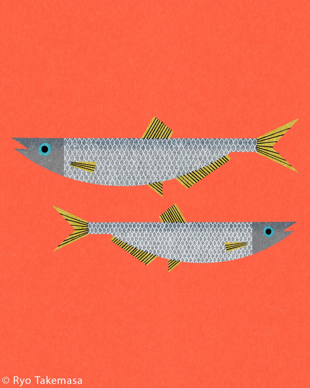 Fish & Shellfish illustration 7