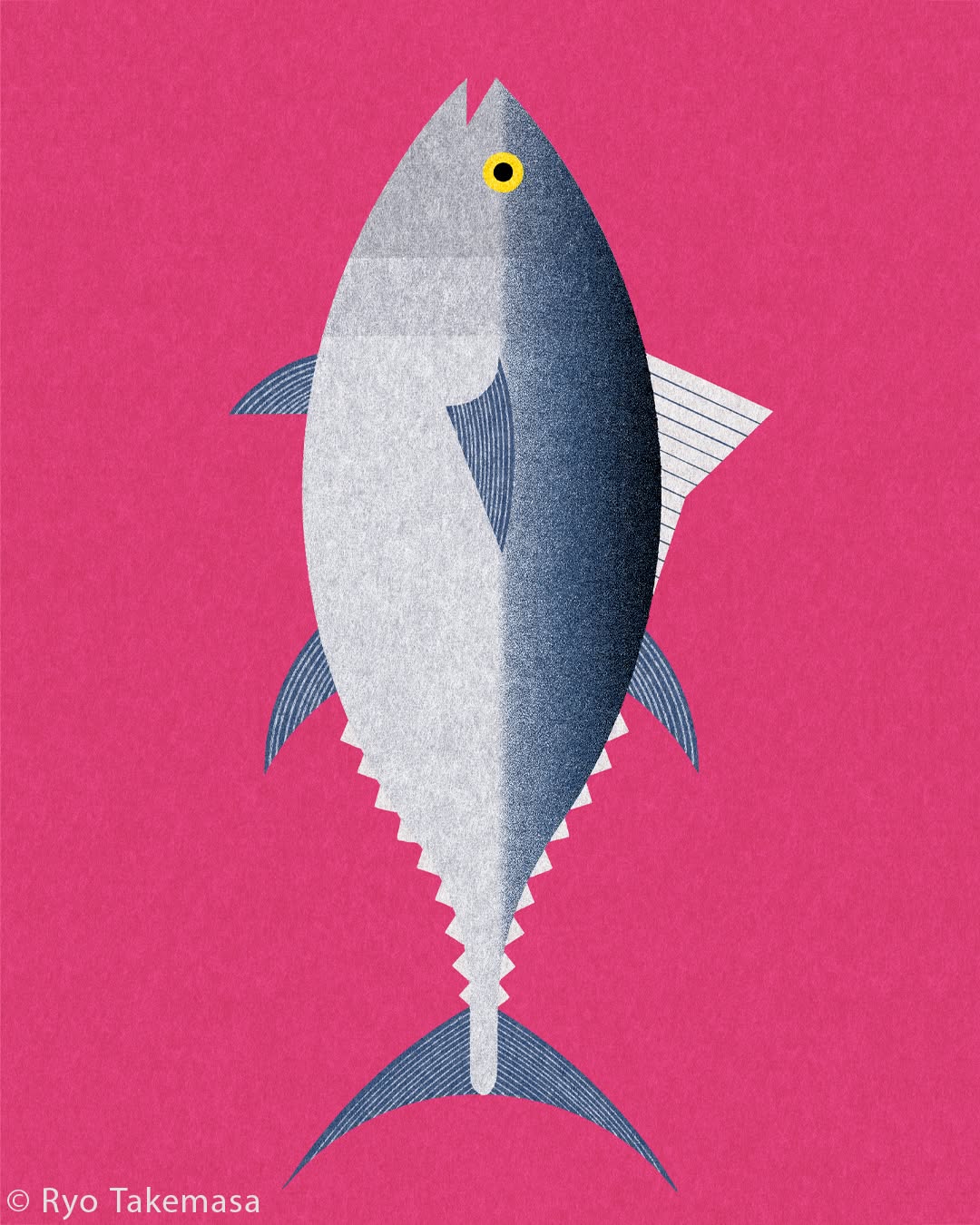 Fish & Shellfish illustration 8
