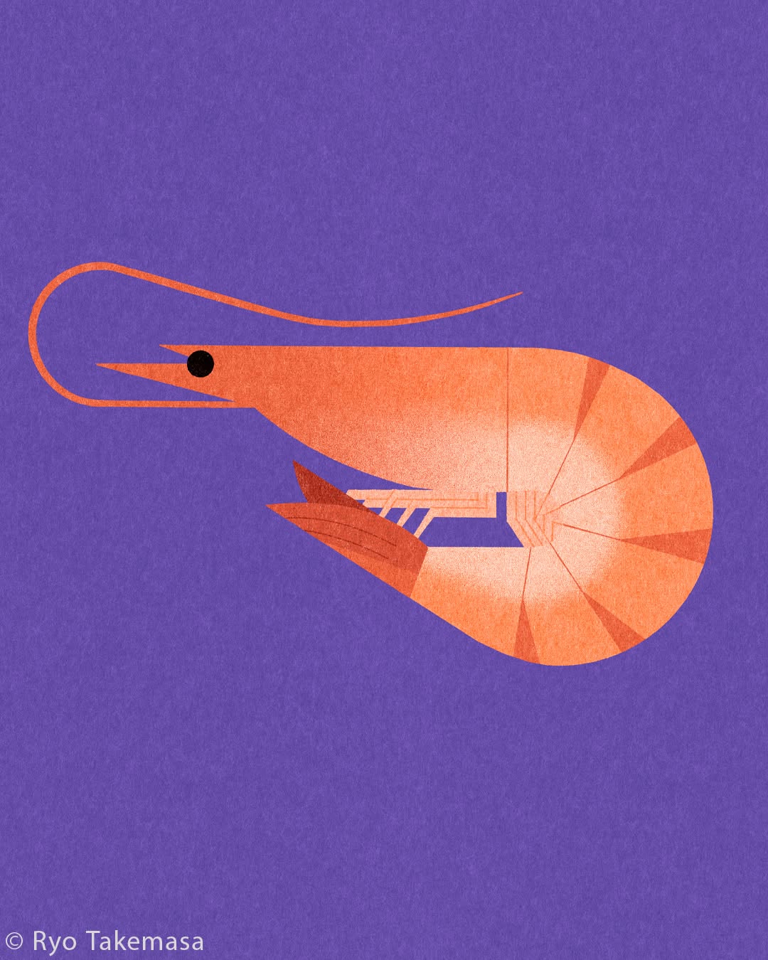 Fish & Shellfish illustration 10