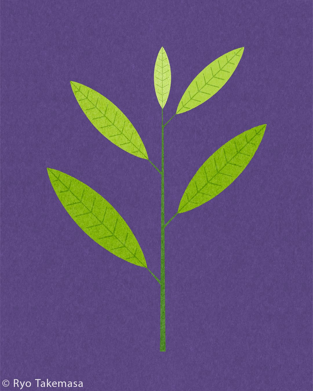 Flowers & Plants illustration 1