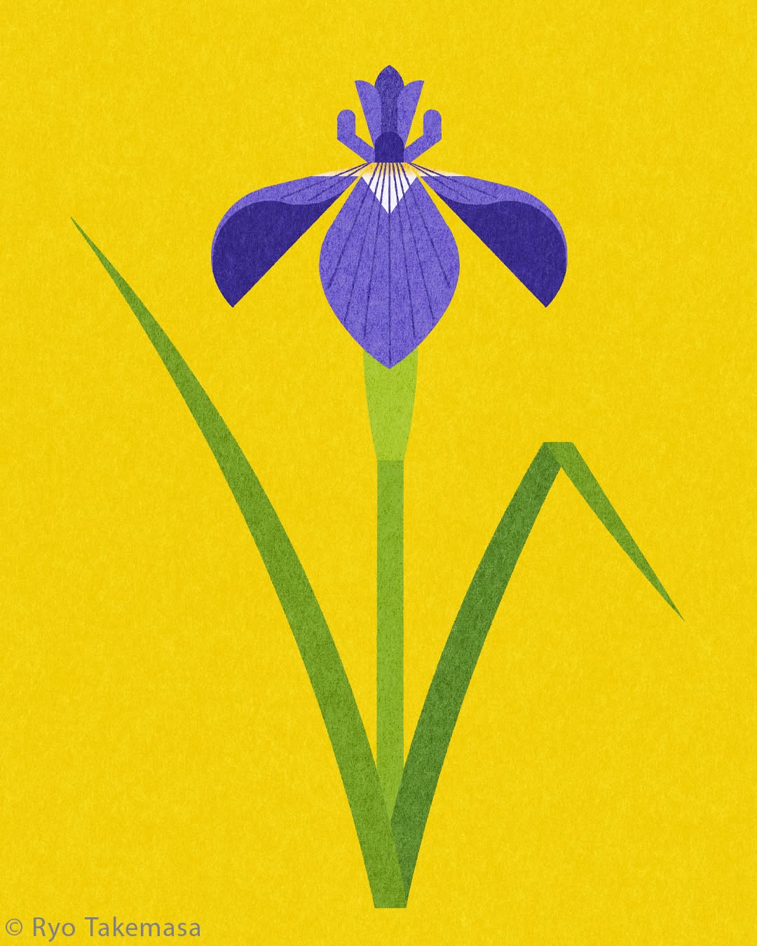 Flowers & Plants illustration 5