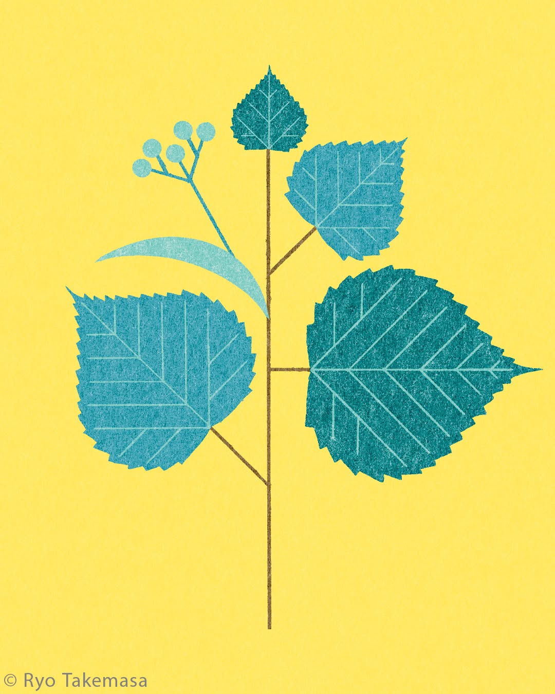 Flowers & Plants illustration 7