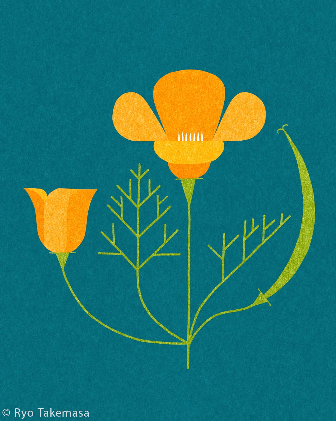 Flowers & Plants illustration 9