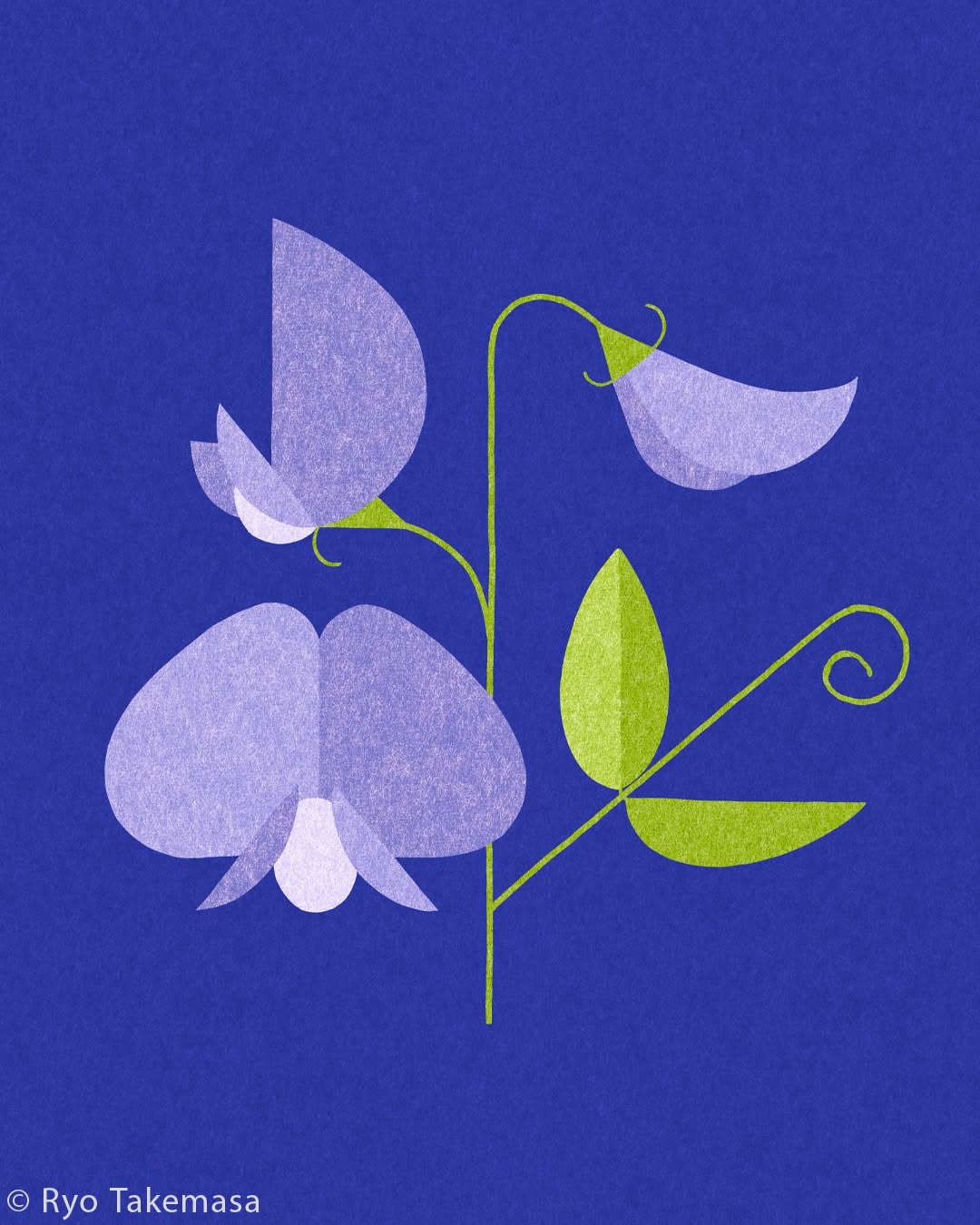 Flowers & Plants illustration 12