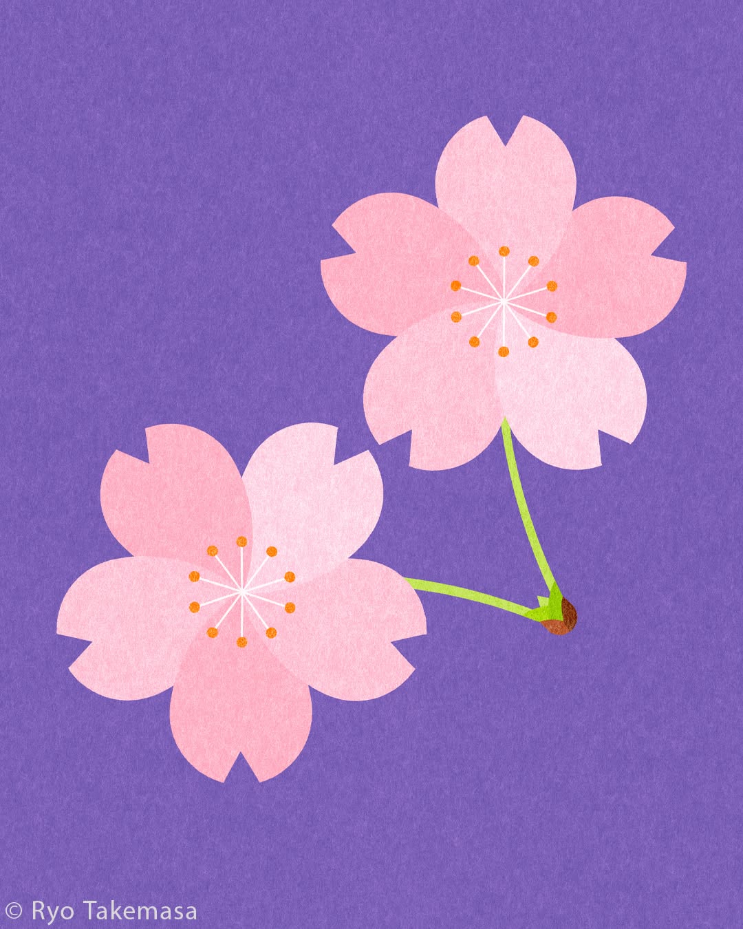 Flowers & Plants illustration 13