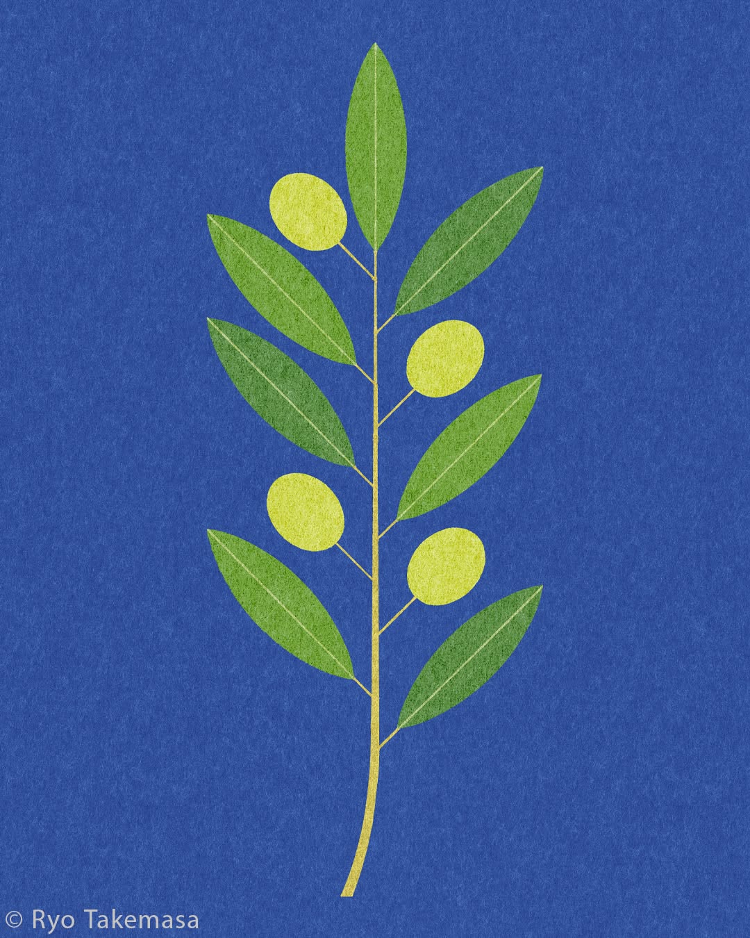 Flowers & Plants illustration 14