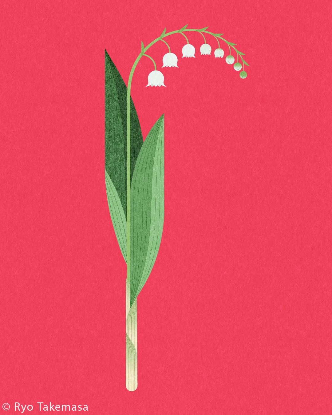 Flowers & Plants illustration 15