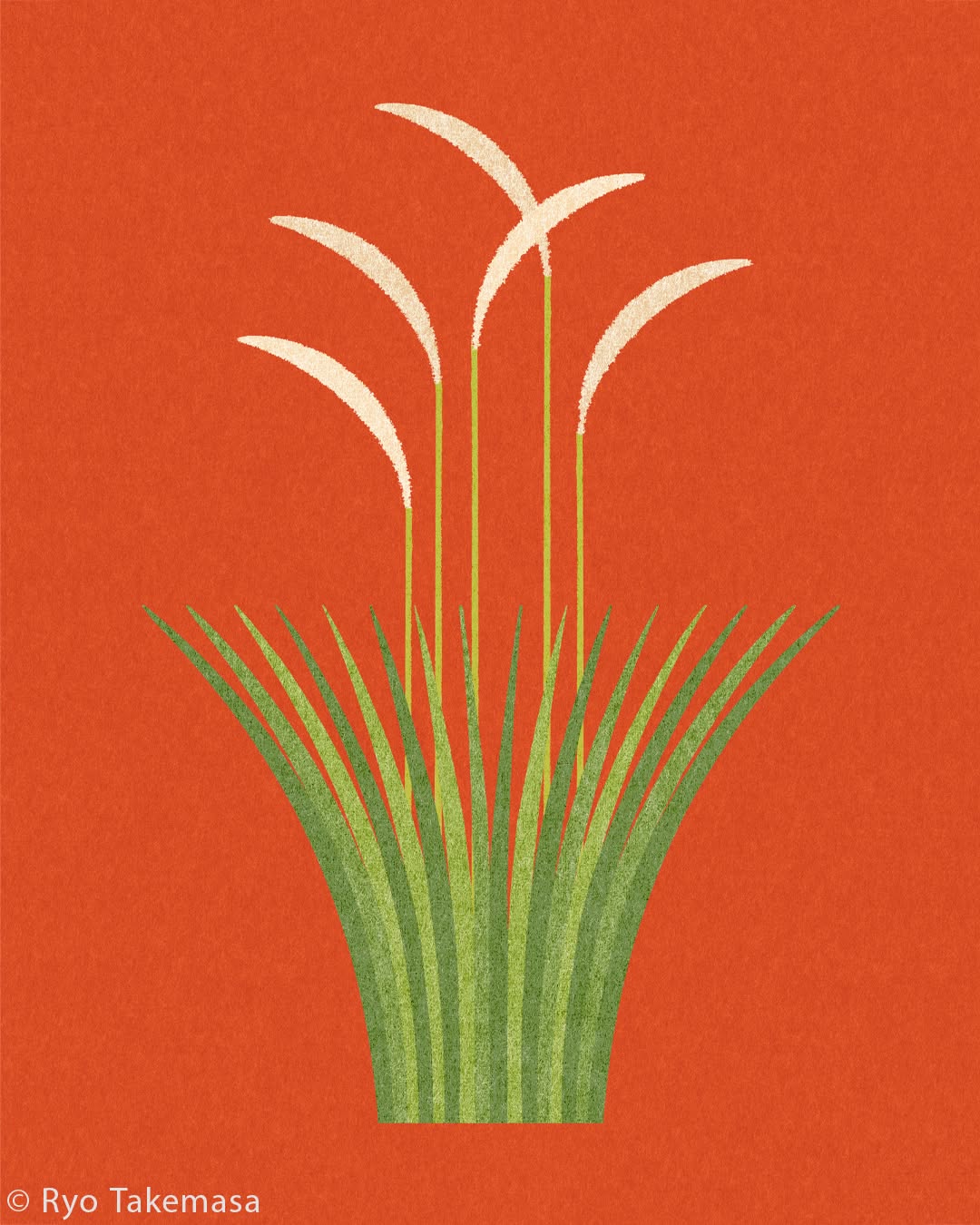 Flowers & Plants illustration 16