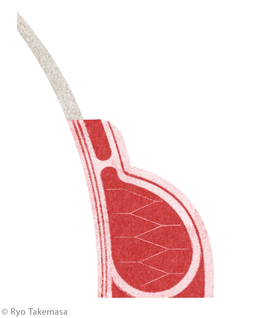 Food illustration 32