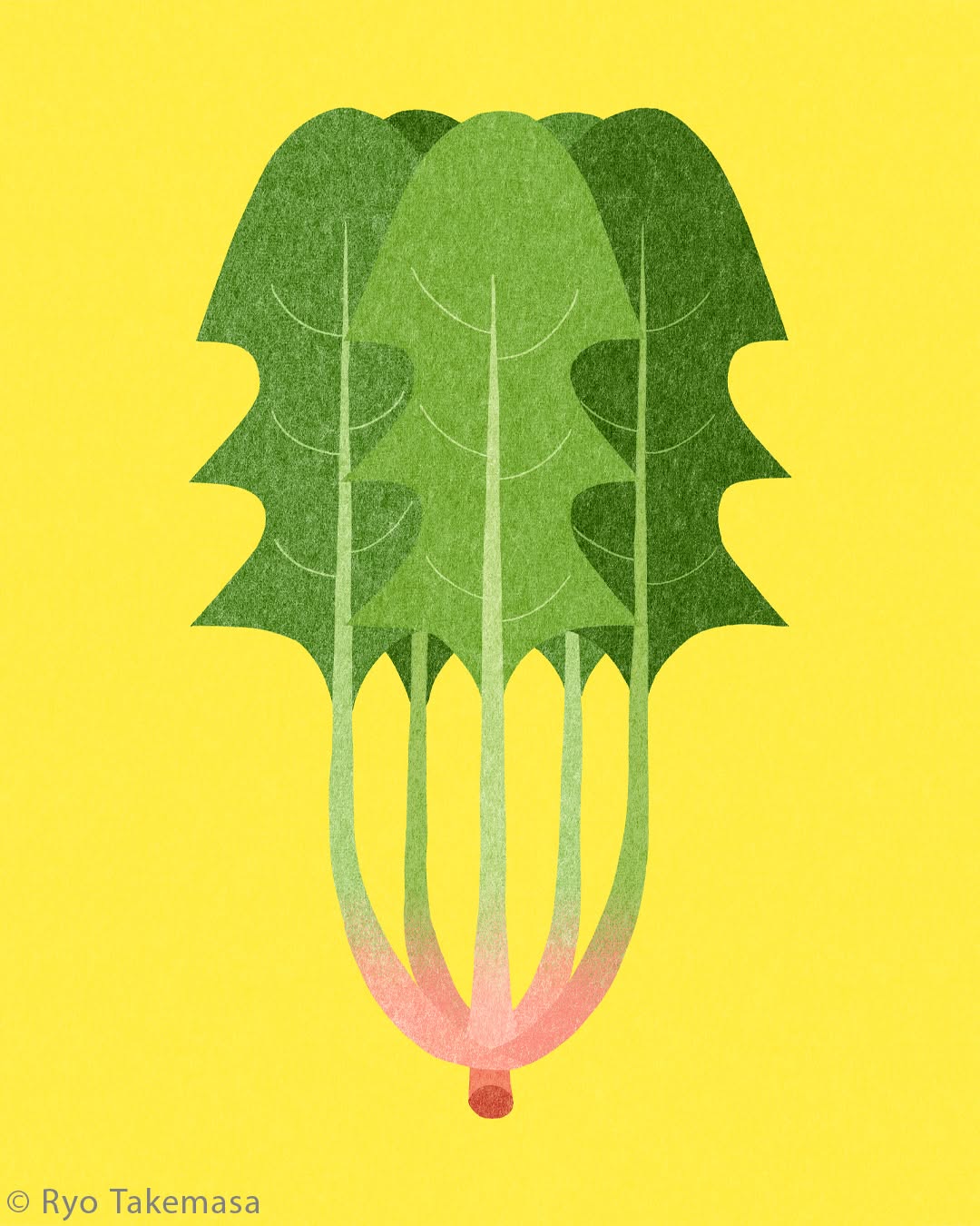 Vegetables & Fruits illustration 1