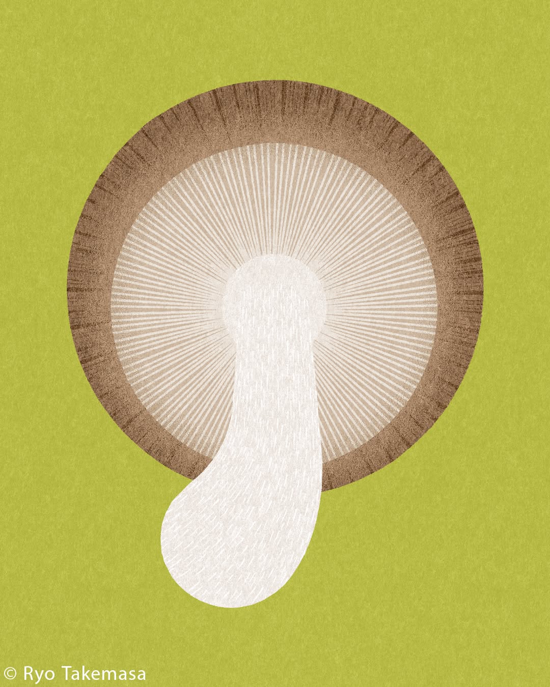 Vegetables & Fruits illustration 4