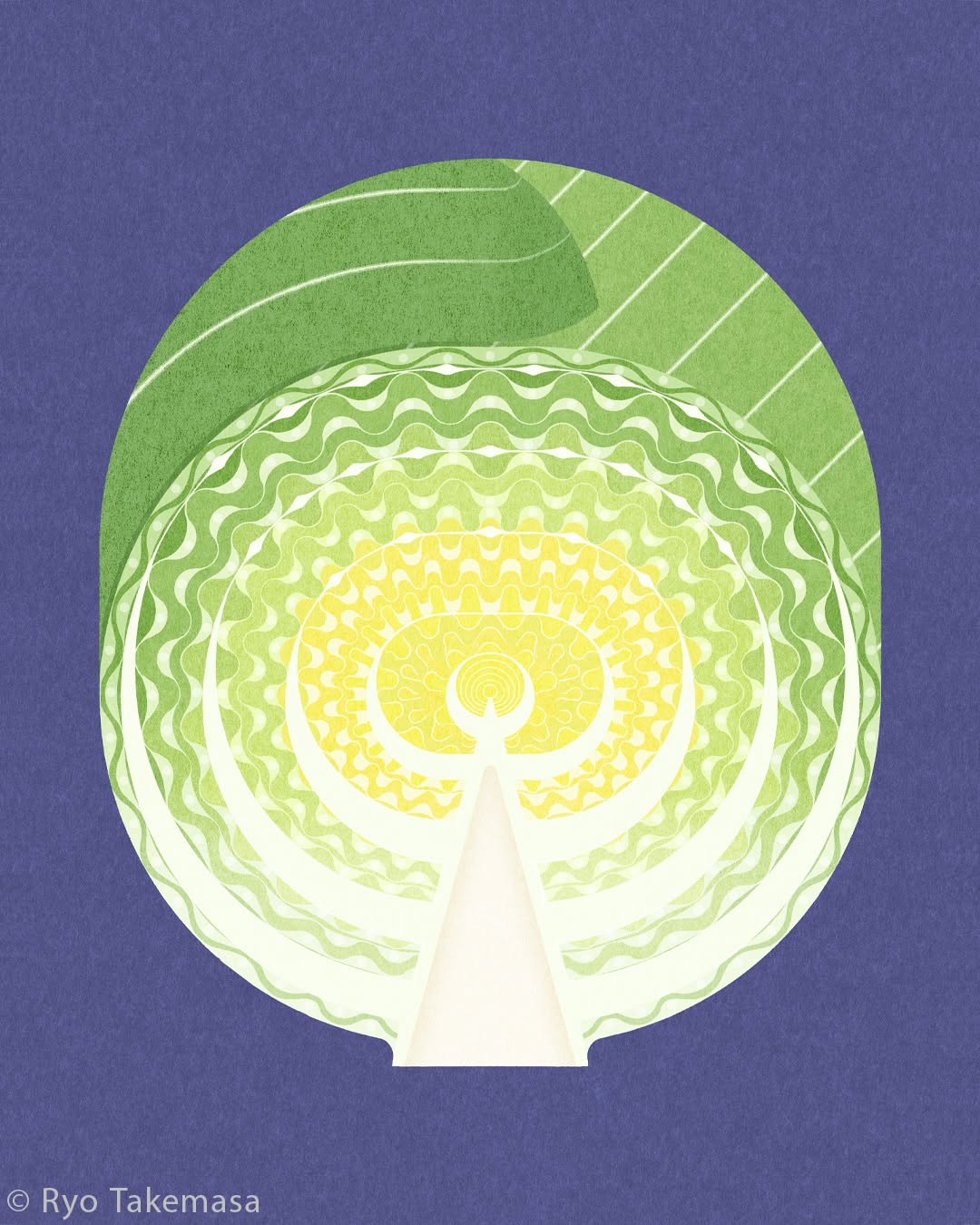 Vegetables & Fruits illustration 5