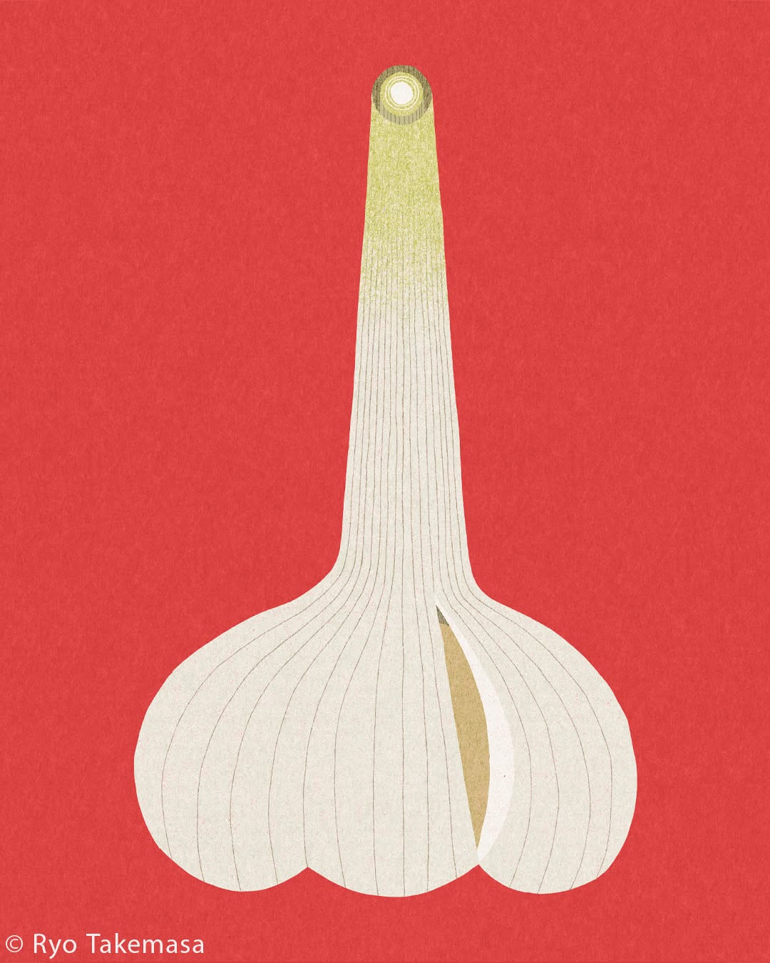 Vegetables & Fruits illustration 6
