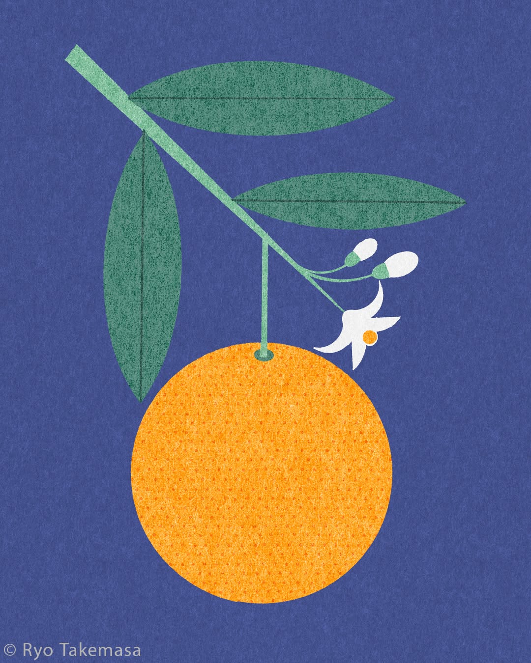 Vegetables & Fruits illustration 7