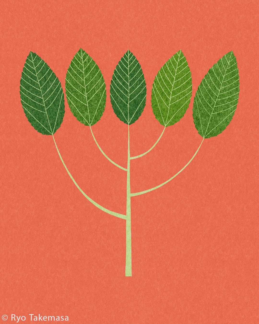 Vegetables & Fruits illustration 11