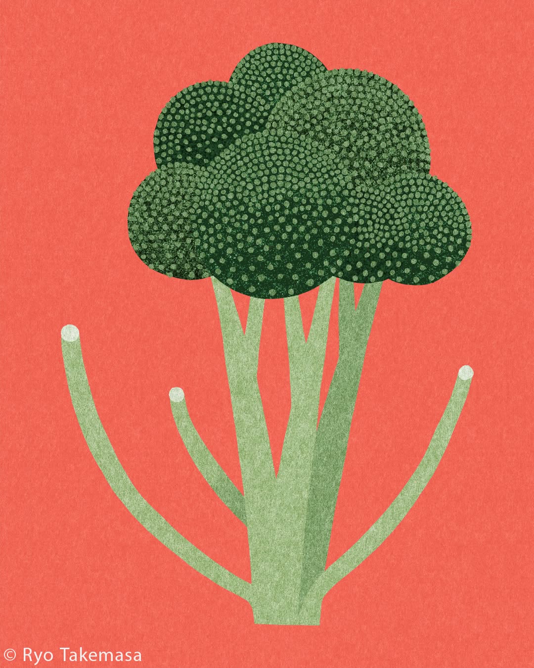 Vegetables & Fruits illustration 13